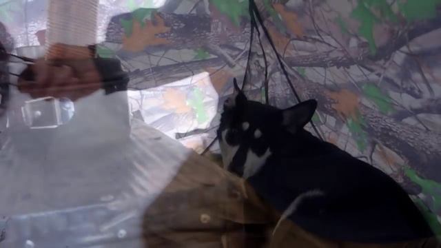 Тест печки на толстое бревно. ( 6 часов горения) смотреть онлайн