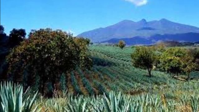 Guru Ram Das Guru смотреть онлайн