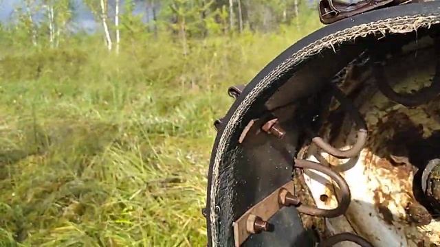 На болоте берём Голубику и шишки. смотреть онлайн