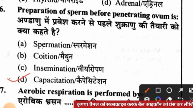 प्रैक्टिस सेट-5 महिला स्वास्थ्य कार्यकर्ता भर्ती || यूथ कॉन्पिटिशन || UPSSSC ANM #upanm2021 смотреть онлайн