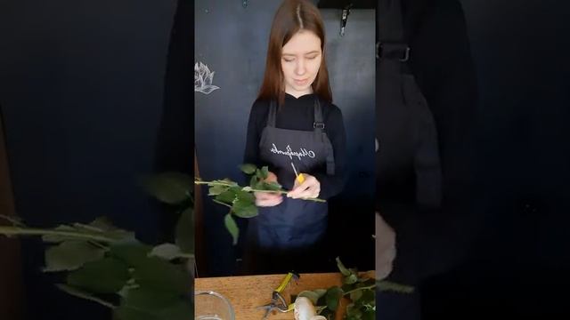 Как продлить жизнь розам? смотреть онлайн