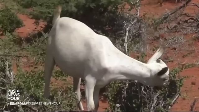 Предсказания на 2022 Год, Которые Изменят Всё