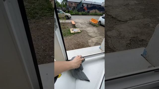 Кайфушечки превыше всего? #уборка #беспорядок #керхер #пароочиститель смотреть онлайн