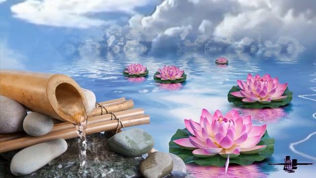 ХОЧУ ЛЮБИТЬ, ХОЧУ С ТОБОЮ МАЕТЬСЯ ! СЕРГЕЙ НОЯБРЬСКИЙ ! смотреть онлайн