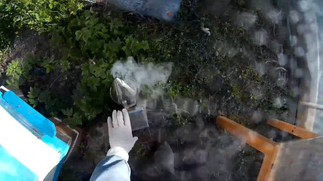 майский осмотр семей смотреть онлайн
