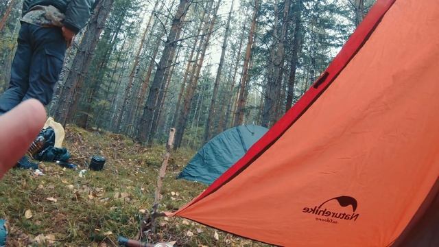 Лесной поход. Пвд история. смотреть онлайн