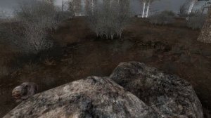 Прохождение S.T.A.L.K.E.R. [Misery 2.1.1] #4 сер. (Железный лес)