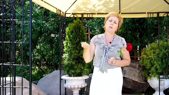 Летние Беседка для дачи