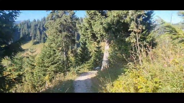 Allgau Panorama Marathon Ultra (50 km) 2022 смотреть онлайн