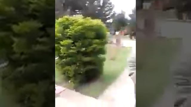 В Азербайджане осквернили одну из аллей шехидов, порвали азербайджанский флаг