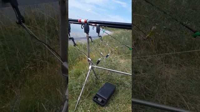 РЫБАЛКА СОМОДЕЛНЫЙ РОД-ПОД смотреть онлайн