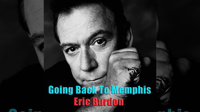 I Used To Be An Animal смотреть онлайн