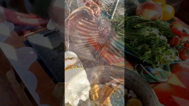 Баран на костре . смотреть онлайн