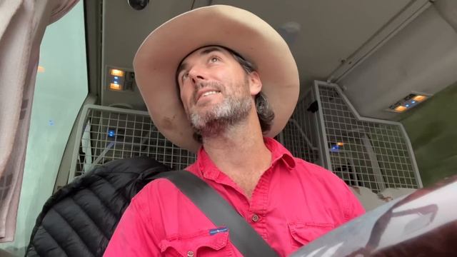 Morning Doggy Bus Pick Ups, Tilly the Kelpie Driving & they Call Him Good Boy Gus the Weimaraner смотреть онлайн