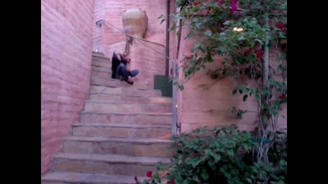Daisy and Violet on an Italian Staircase смотреть онлайн