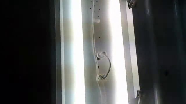 Osram , Бретский электроламповый завод - люминесцентные лампы Т8 18W холодно-белого света смотреть онлайн