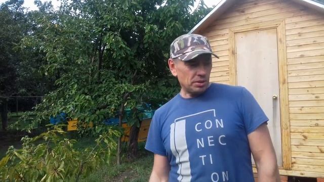 Река пчел! смотреть онлайн