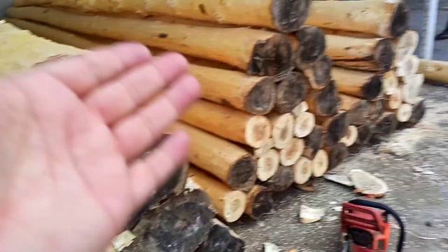 ТЕРАК МАХСУЛОТЛАРИ ТУСИН ЛАГА СТРАПИЛА ЧЁРНЫЙ РЕЙКАЛАР НАРХИ ТАХТА БОЗОР смотреть онлайн