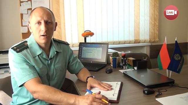 Двух слонимчан отправили в тюрьму за куплю-продажу авто смотреть онлайн