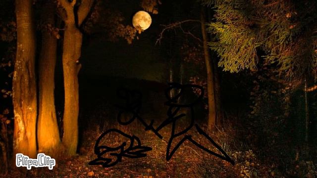 Школа добра и зла 2