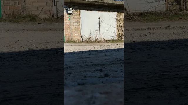 Бобер проснулся после зимовки смотреть онлайн