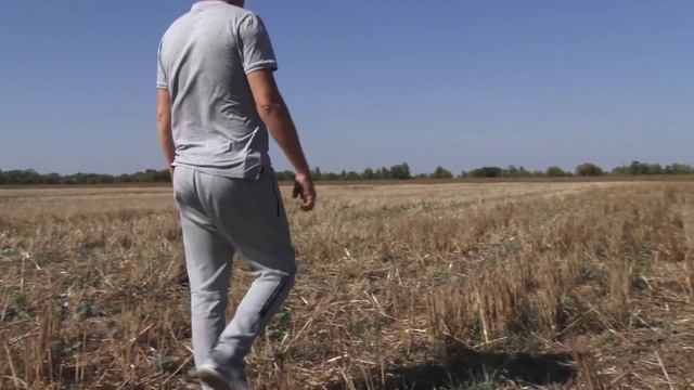 Прямой посев рапса монодисковой сеялкой, Днепропетровская область смотреть онлайн