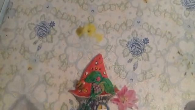 Солёное тесто. Окрашивание и лакировка солёного теста. Поделки из солёного теста. смотреть онлайн