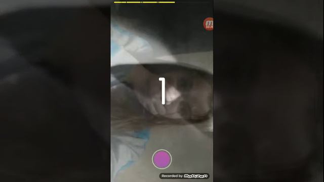 Как сделать крутое видео в like смотреть онлайн