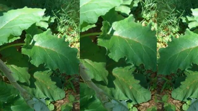 Учим Делать с Страстью и Профессионализмом