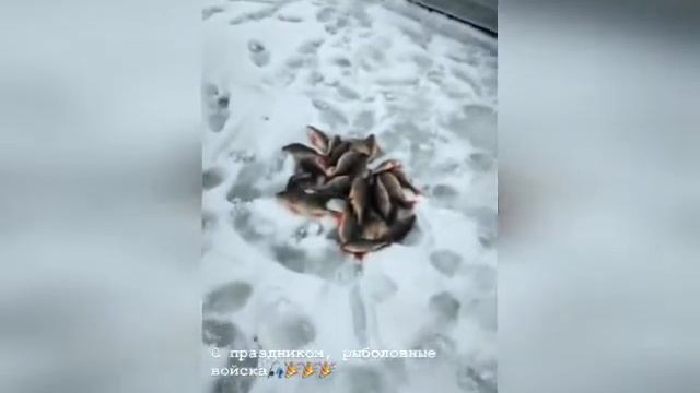 23.02.2022г. Рыболовные войска. Клёвое местечко. Камское устье смотреть онлайн