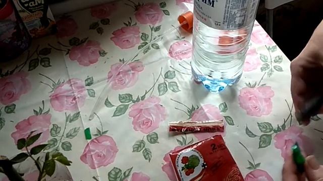 Спасаем черенкованную розу от паутинного клеща смотреть онлайн