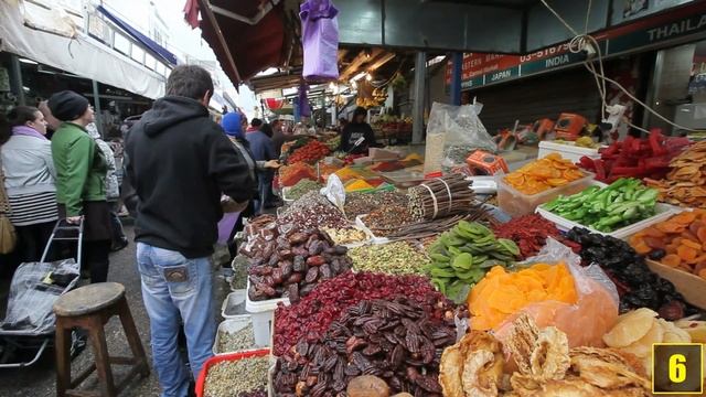 Удачные знакомства с животным миром