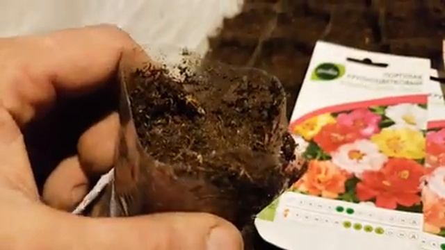 Сад и огород