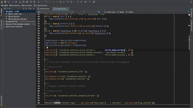 WordPress Hooks Actions customize controls print scripts Part -11 смотреть онлайн