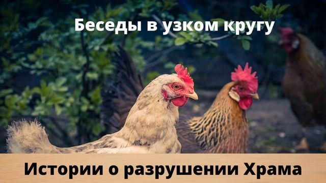 9 Ава. Истории о разрушении храма. Беседы в узком кругу. смотреть онлайн
