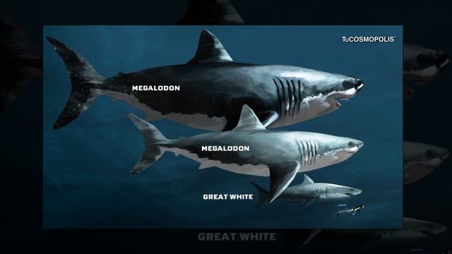 BIZGACHA YO'QOLIB KETGAN ENG DAXSHATLI VA XAVFLI HAYVONLAR смотреть онлайн