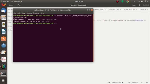 Variant calling pipeline in Shiny R using docker image смотреть онлайн