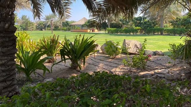 Danat Jebel Dhanna Resort Abu Dhabi