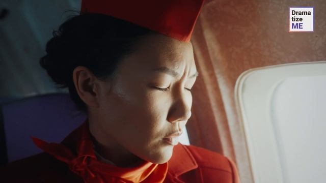 VIP PASSENGER HARASSES Young STEWARDESS | @DramatizeMe смотреть онлайн