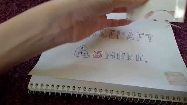 Бумажные сюрпризы/ Anna Gold/ Minecraft/ Поход