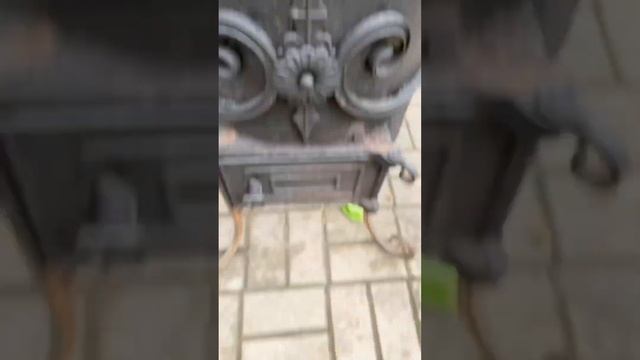 Чакапули?Приятного аппетита?#рецепты#грузинскаякухня