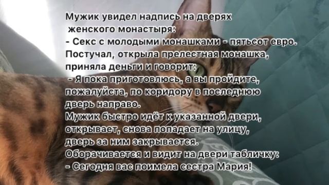 Анекдоты от кожаного. Подборка анекдотов. смотреть онлайн