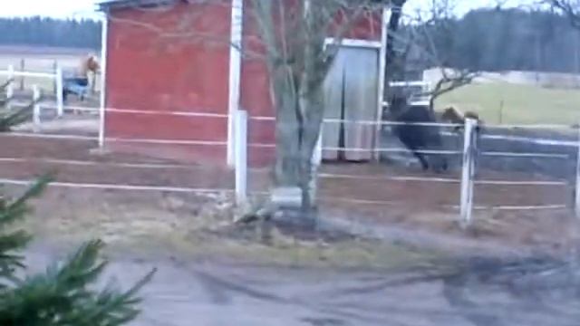 Stimir 1.1.2014 смотреть онлайн