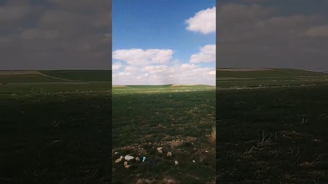 Kazandıracak hisseleri toplayalım смотреть онлайн