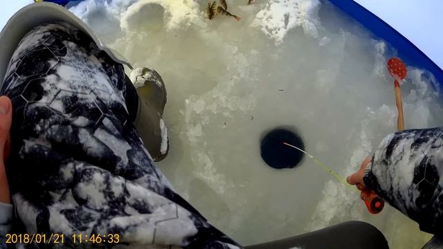 Рыбалка в Жостово.