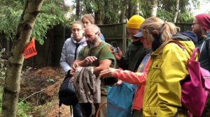 Михаил Вишневский про чагу