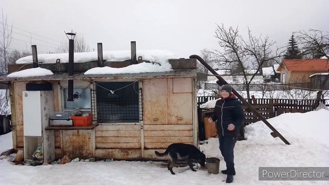 МОЙ ВЛОГ-БЛОГ С НАШИМИ ЖИВОТНЫМИ|РАССКАЗЫВАЮ ПРО ЖИВОТНЫХ 2022 №11 смотреть онлайн