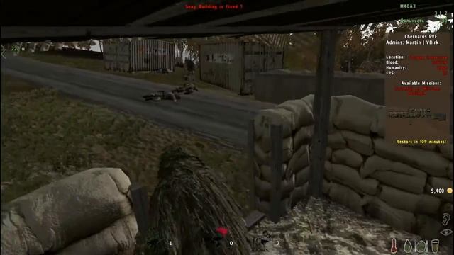 DayZ Случайный сервер #2 смотреть онлайн