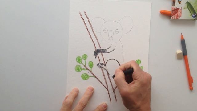 Рисуем пушистую коалу на ветке смотреть онлайн