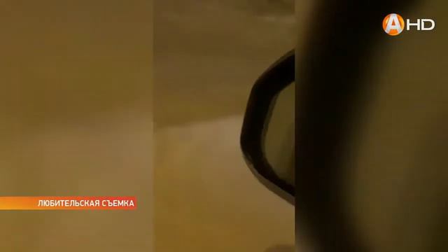 Волк продолжает держать в страхе жителей Оленегорска смотреть онлайн